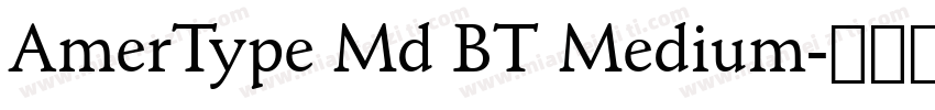 AmerType Md BT Medium字体转换